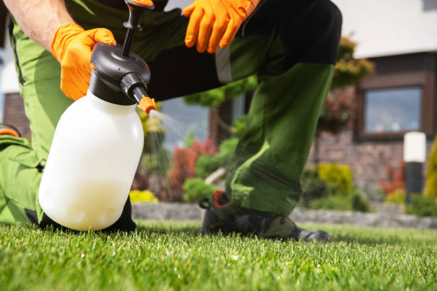 Best Mosquito Control Services  in Mcconnellsburg, PA