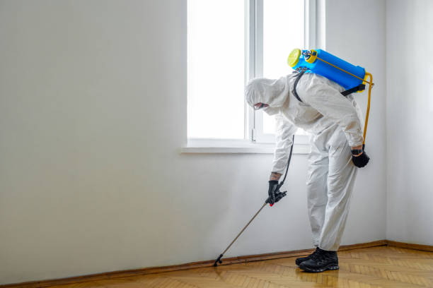 Best Cockroach Control Services  in Mcconnellsburg, PA