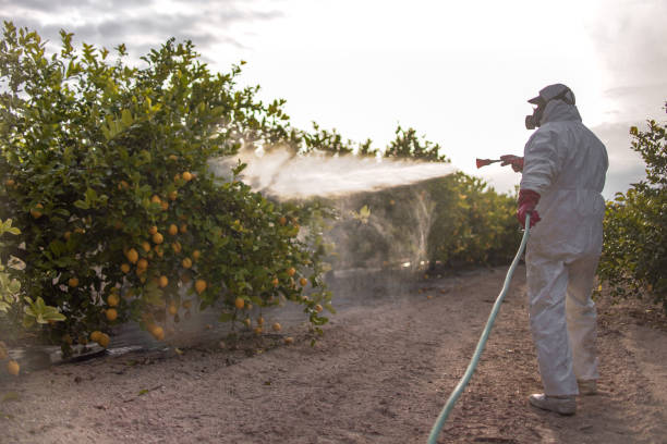 Reliable Mcconnellsburg, PA Pest Control Solutions