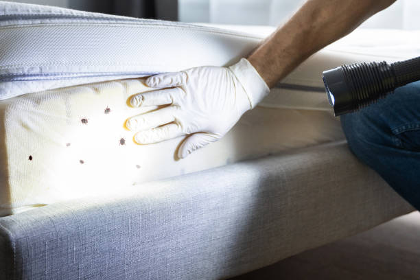 Best Pest Control Cost  in Mcconnellsburg, PA