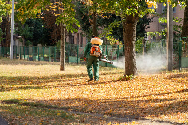 Best Pest Control Near Me in Mcconnellsburg, PA