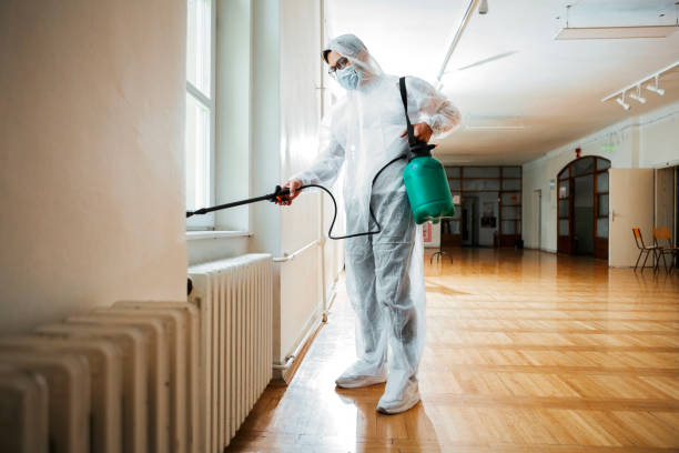 Best Termite Control Services  in Mcconnellsburg, PA