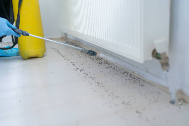 Best Emergency Pest Control  in Mcconnellsburg, PA