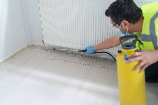 Best Bed Bug Extermination  in Mcconnellsburg, PA
